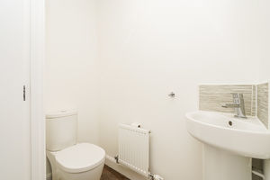 Photo 24- click for photo gallery